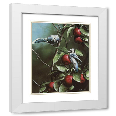 Summer Blue Jays White Modern Wood Framed Art Print with Double Matting by Daniel, Kevin
