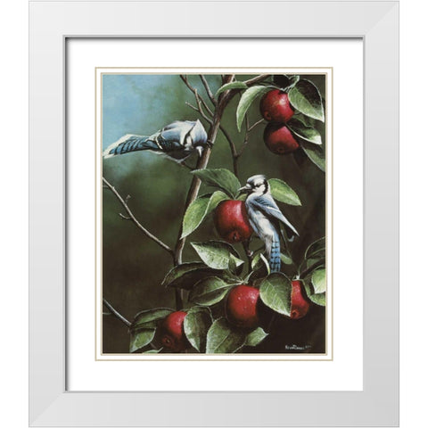 Summer Blue Jays White Modern Wood Framed Art Print with Double Matting by Daniel, Kevin