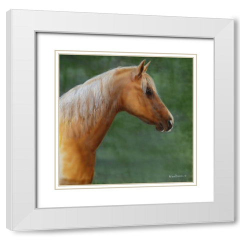 Palomino White Modern Wood Framed Art Print with Double Matting by Daniel, Kevin
