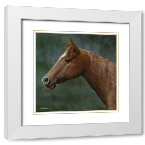 Quarter Horse White Modern Wood Framed Art Print with Double Matting by Daniel, Kevin