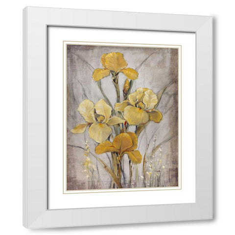 Golden Irises I White Modern Wood Framed Art Print with Double Matting by OToole, Tim