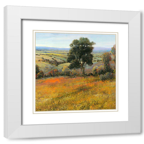Field in Summer White Modern Wood Framed Art Print with Double Matting by OToole, Tim