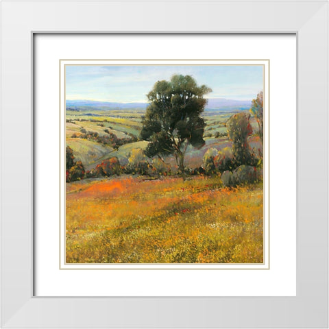 Field in Summer White Modern Wood Framed Art Print with Double Matting by OToole, Tim