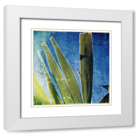 Tropical Memory II White Modern Wood Framed Art Print with Double Matting by Robinson, Emily