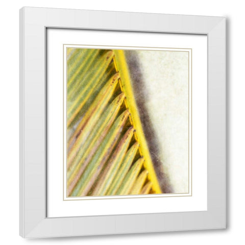 Frond Study I White Modern Wood Framed Art Print with Double Matting by Robinson, Emily