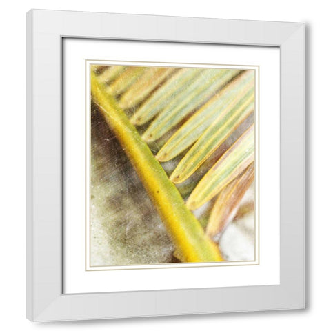Frond Study II White Modern Wood Framed Art Print with Double Matting by Robinson, Emily