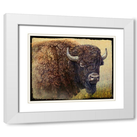 Bison Portrait I White Modern Wood Framed Art Print with Double Matting by Vest, Chris