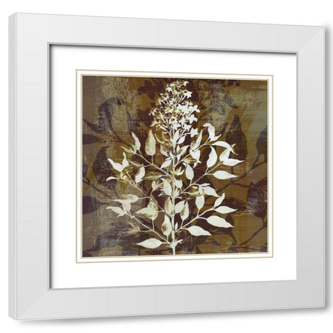 Prairie Mix I White Modern Wood Framed Art Print with Double Matting by Butler, John