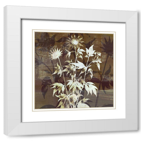 Prairie Mix II White Modern Wood Framed Art Print with Double Matting by Butler, John