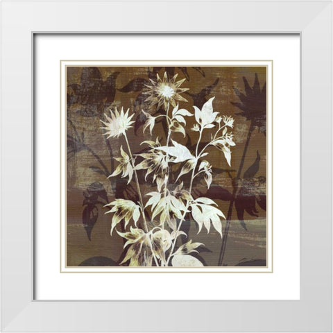 Prairie Mix II White Modern Wood Framed Art Print with Double Matting by Butler, John