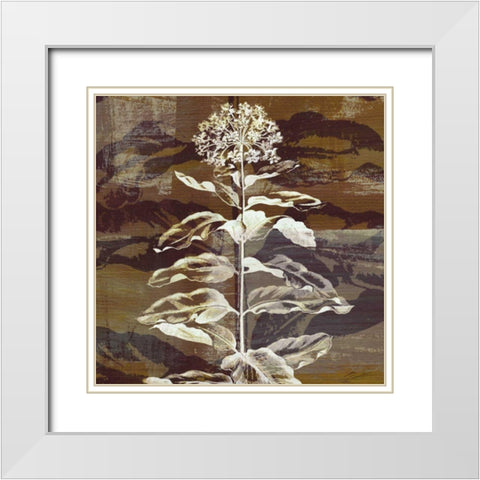 Prairie Mix VI White Modern Wood Framed Art Print with Double Matting by Butler, John