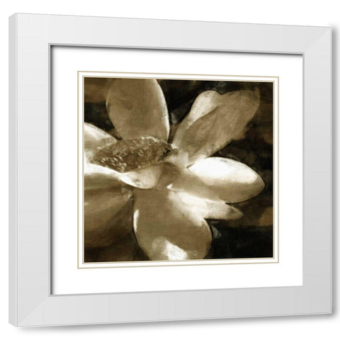 Bronze Lily III White Modern Wood Framed Art Print with Double Matting by Bay, Noah