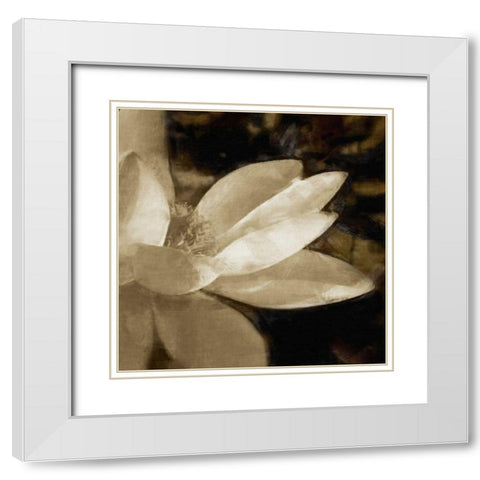 Bronze Lily IV White Modern Wood Framed Art Print with Double Matting by Bay, Noah