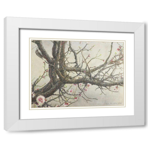 Apricot Creeper White Modern Wood Framed Art Print with Double Matting by Vest, Chris