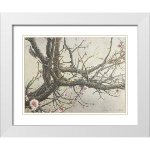 Apricot Creeper White Modern Wood Framed Art Print with Double Matting by Vest, Chris