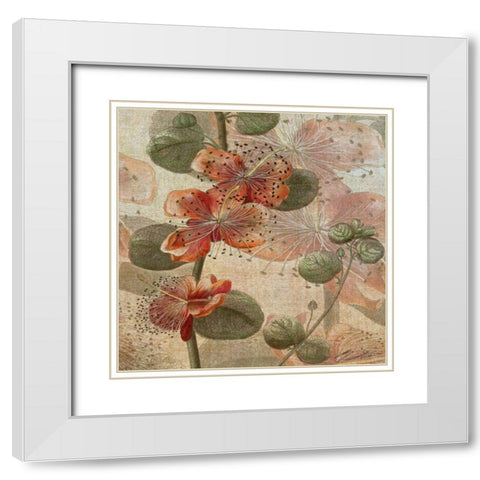 Desert Botanicals I White Modern Wood Framed Art Print with Double Matting by Butler, John
