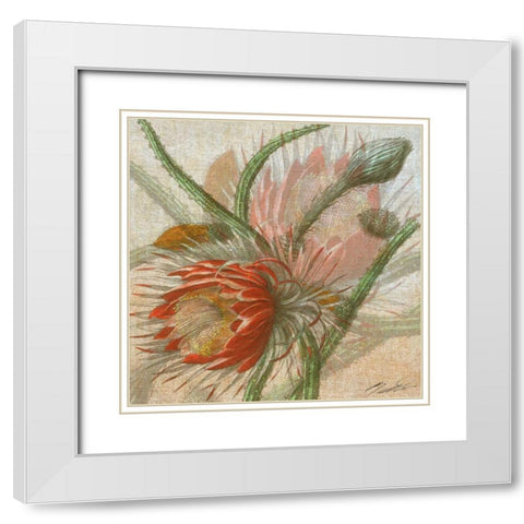 Desert Botanicals II White Modern Wood Framed Art Print with Double Matting by Butler, John