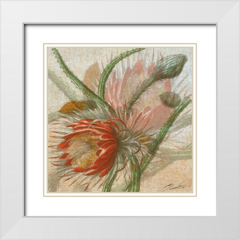 Desert Botanicals II White Modern Wood Framed Art Print with Double Matting by Butler, John