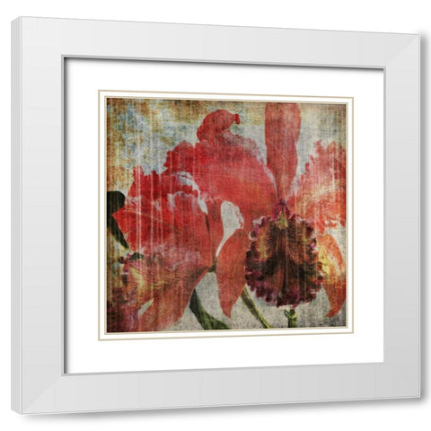 Pacific Orchid I White Modern Wood Framed Art Print with Double Matting by Butler, John