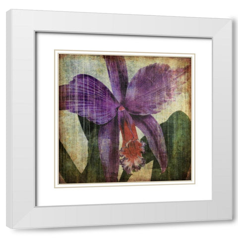 Pacific Orchid II White Modern Wood Framed Art Print with Double Matting by Butler, John