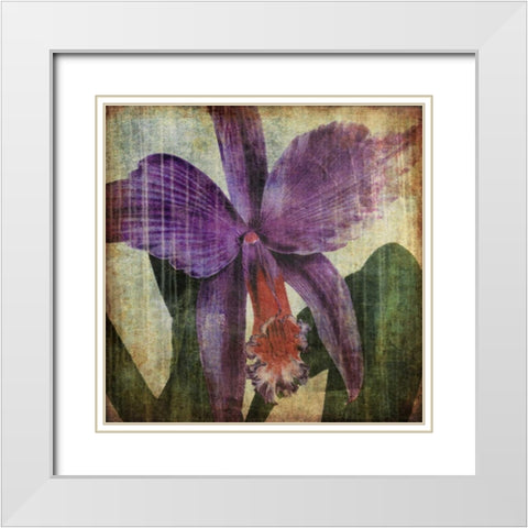 Pacific Orchid II White Modern Wood Framed Art Print with Double Matting by Butler, John