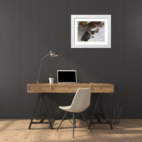 Apple Deer White Modern Wood Framed Art Print with Double Matting by Vest, Chris