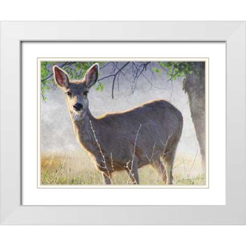 Spring Doe White Modern Wood Framed Art Print with Double Matting by Vest, Chris