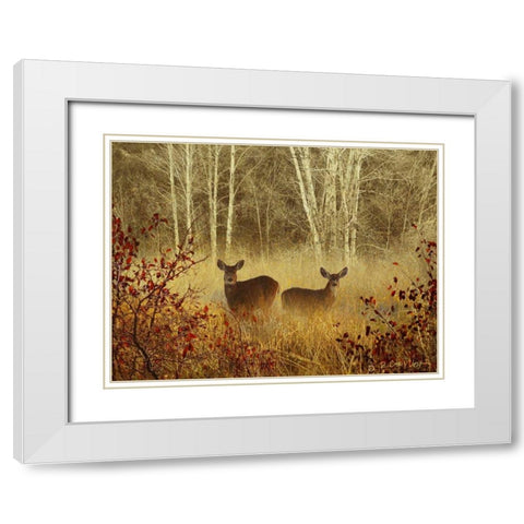 Foggy Deer White Modern Wood Framed Art Print with Double Matting by Vest, Chris