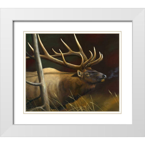 Elk Portrait II White Modern Wood Framed Art Print with Double Matting by Stans, Leo