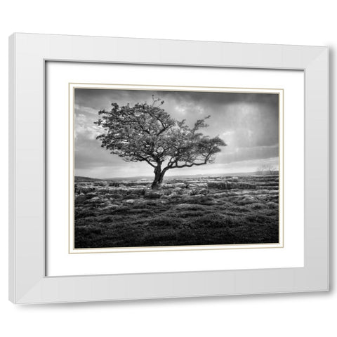 Elegance White Modern Wood Framed Art Print with Double Matting by Henson, Martin