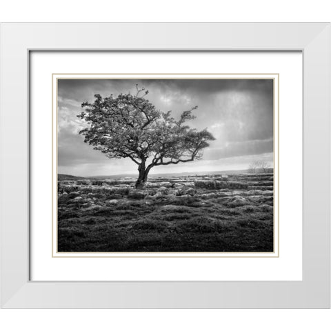 Elegance White Modern Wood Framed Art Print with Double Matting by Henson, Martin
