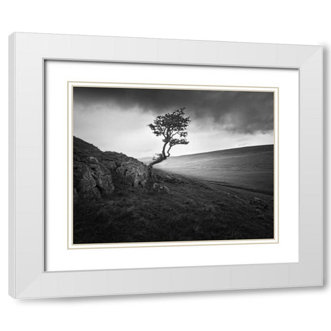 Outcrop White Modern Wood Framed Art Print with Double Matting by Henson, Martin