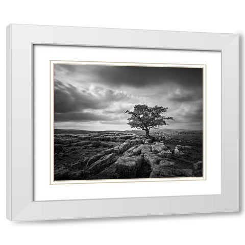 Pavement and Tree I White Modern Wood Framed Art Print with Double Matting by Henson, Martin