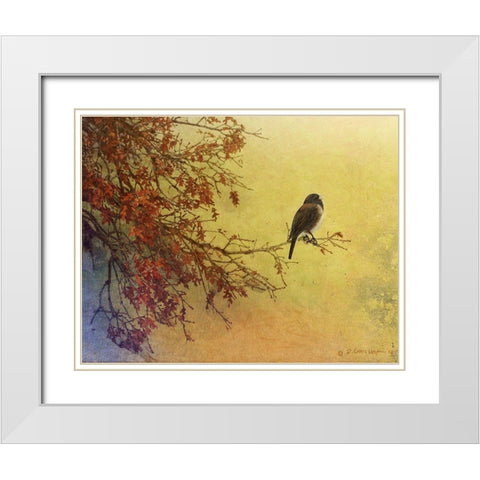 Custom Snow Oak Junco (ASH) White Modern Wood Framed Art Print with Double Matting by Vest, Chris