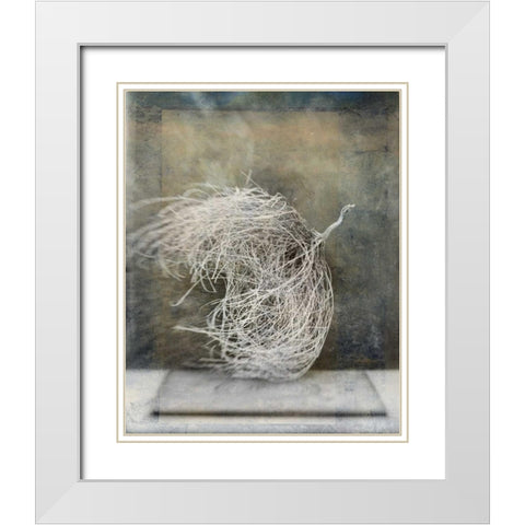 Desert Form I White Modern Wood Framed Art Print with Double Matting by Ray, Elena