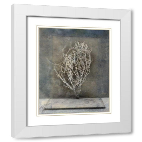 Desert Form III White Modern Wood Framed Art Print with Double Matting by Ray, Elena
