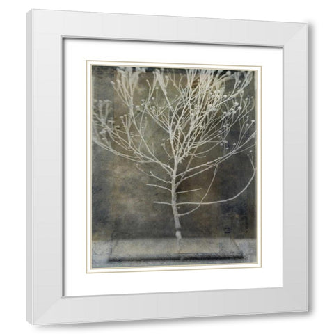 Desert Form IV White Modern Wood Framed Art Print with Double Matting by Ray, Elena