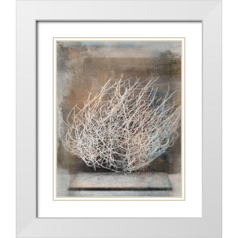 Desert Form V White Modern Wood Framed Art Print with Double Matting by Ray, Elena