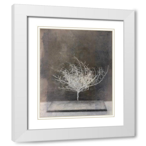 Desert Form VI White Modern Wood Framed Art Print with Double Matting by Ray, Elena