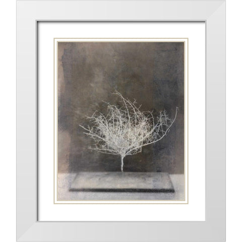Desert Form VI White Modern Wood Framed Art Print with Double Matting by Ray, Elena