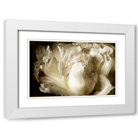 Elegant Peony I White Modern Wood Framed Art Print with Double Matting by Zalewski, Christine
