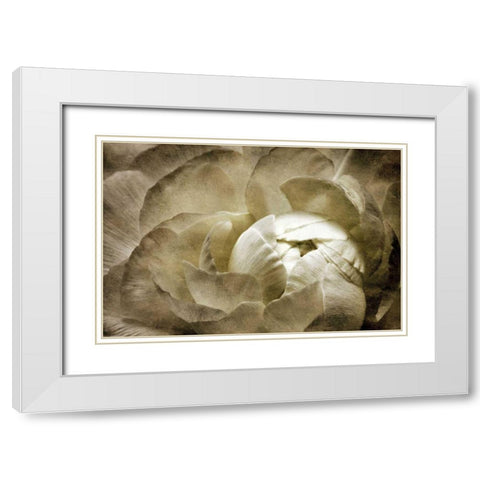 Elegant Peony II White Modern Wood Framed Art Print with Double Matting by Zalewski, Christine