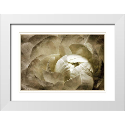 Elegant Peony II White Modern Wood Framed Art Print with Double Matting by Zalewski, Christine