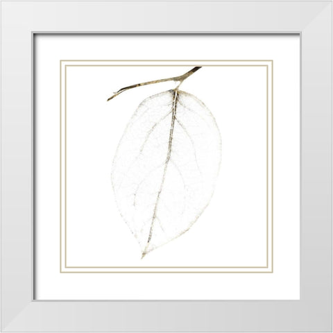 Fall Leaves III White Modern Wood Framed Art Print with Double Matting by Zalewski, Christine