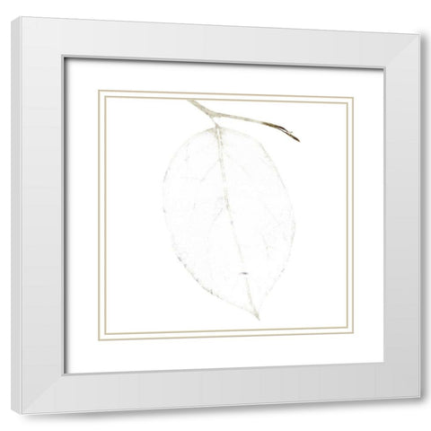 Bamboo Moon II White Modern Wood Framed Art Print with Double Matting by Zalewski, Christine