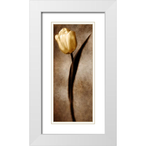 Damask Tulip II White Modern Wood Framed Art Print with Double Matting by Zalewski, Christine