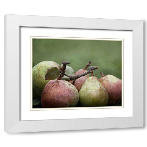 Comice Pears II White Modern Wood Framed Art Print with Double Matting by Perry, Rachel