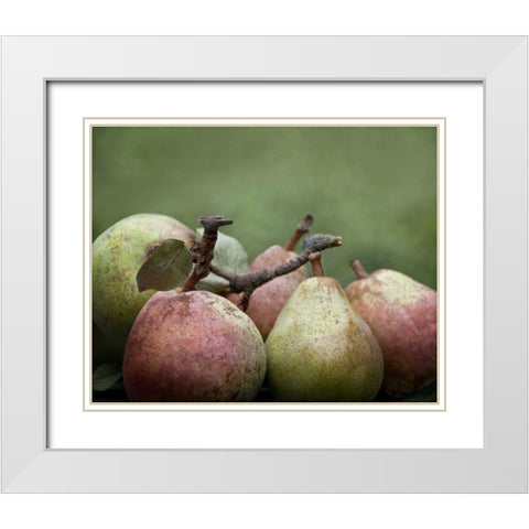 Comice Pears II White Modern Wood Framed Art Print with Double Matting by Perry, Rachel