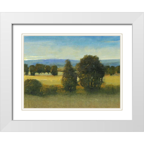 Verdant Meadow I White Modern Wood Framed Art Print with Double Matting by OToole, Tim