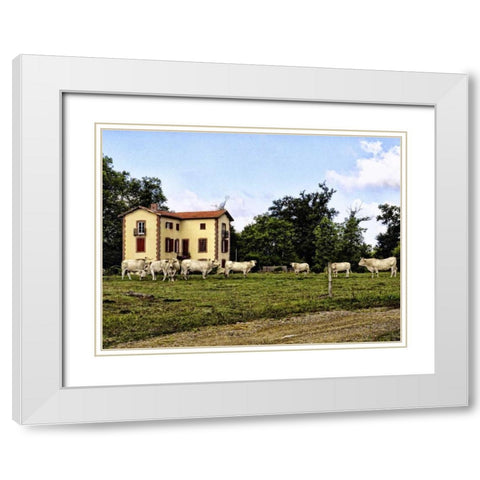 Cow Palace White Modern Wood Framed Art Print with Double Matting by Chester, Colby